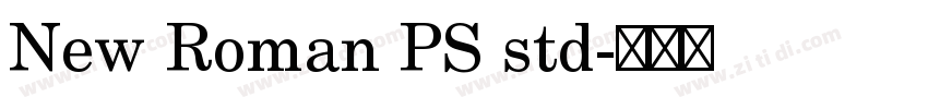 New Roman PS std字体转换